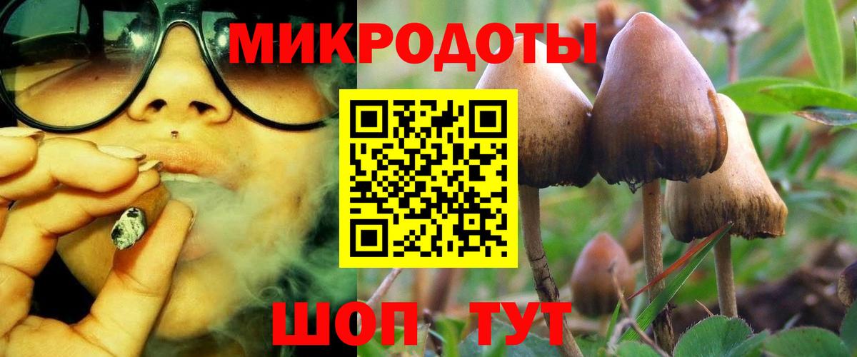 Кондопога  Галлюциногенные грибы прущие грибы  Вход с VPN 
